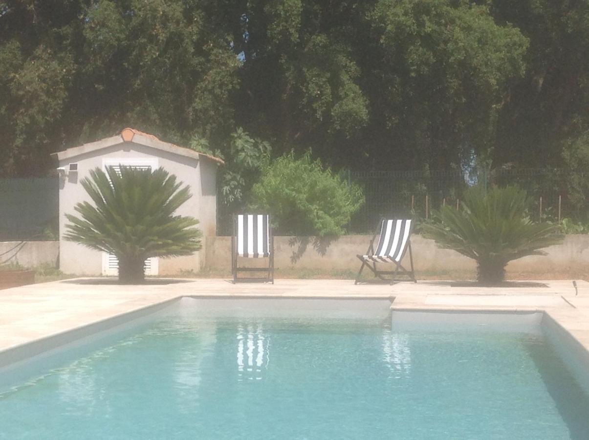 Cavone 2 Appartement Castellare-di-Casinca Buitenkant foto