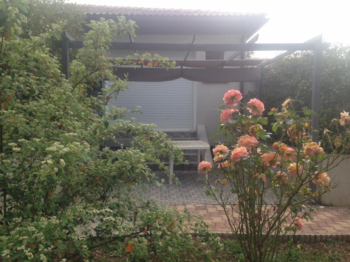 Cavone 2 Appartement Castellare-di-Casinca Buitenkant foto